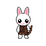 mRabbit_walk1