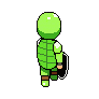 mTurtleBack_walk5