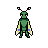 insectAphidSwarmTopdown_walk2
