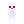 eGhostCatBack_walk1