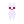 eGhostCat_idle6