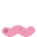 wormPink