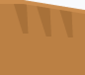 Boar