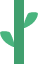 plantLeaves_1
