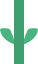 plantLeaves_3