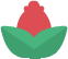 plantTop_red
