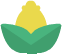 plantTop_yellow