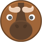 buffalo