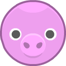 pig