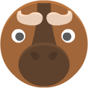 buffalo