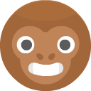 monkey