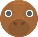 moose