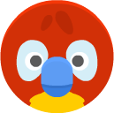 parrot