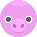 pig