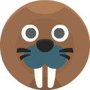 walrus