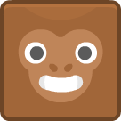 monkey