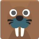walrus