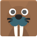 walrus
