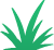 bush4
