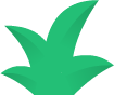 bush2