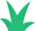 bush3