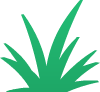bush4