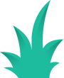 bushAlt2
