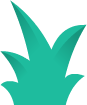 bushAlt3