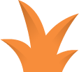bushOrange3