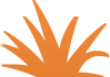 bushOrange4