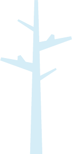 tree11