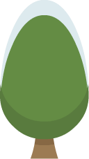 tree06