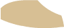 tanShoe3