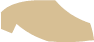 tanShoe5