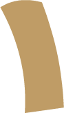 tint6_leg