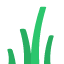 seaweed_grass_a