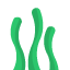 seaweed_green_a