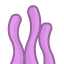 seaweed_pink_a_outline
