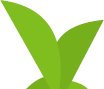 foliagePack_019