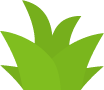 foliagePack_020
