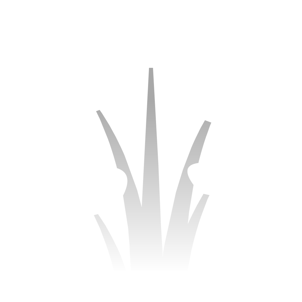 sprite_0077