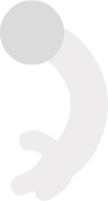 arm_whiteC