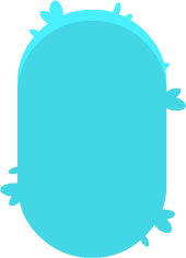 body_blueF