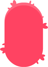 body_redF