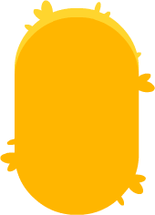 body_yellowF