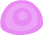 snail_shell