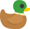 duck_brown