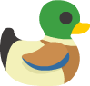 duck_white