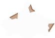 playerShip2_damage1