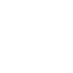 splat31